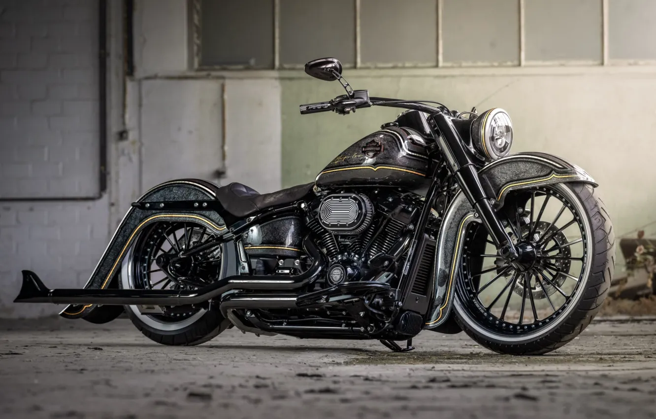 Photo wallpaper Harley Davidson, Tuning, Softail, Bikes, Heritage, Customized, 114, Thunderbike