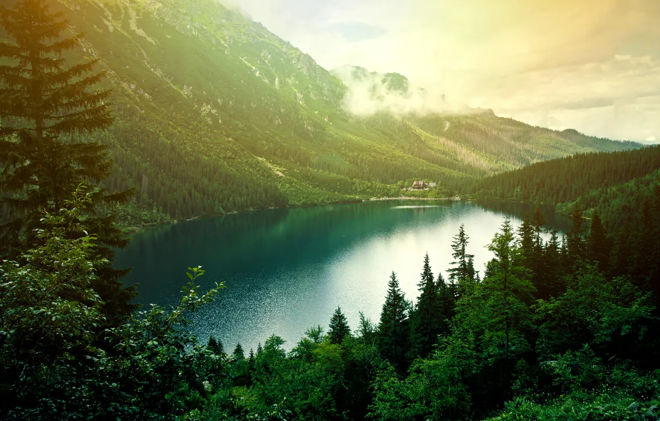 Photo wallpaper forest, landscape, nature, mountains, lake