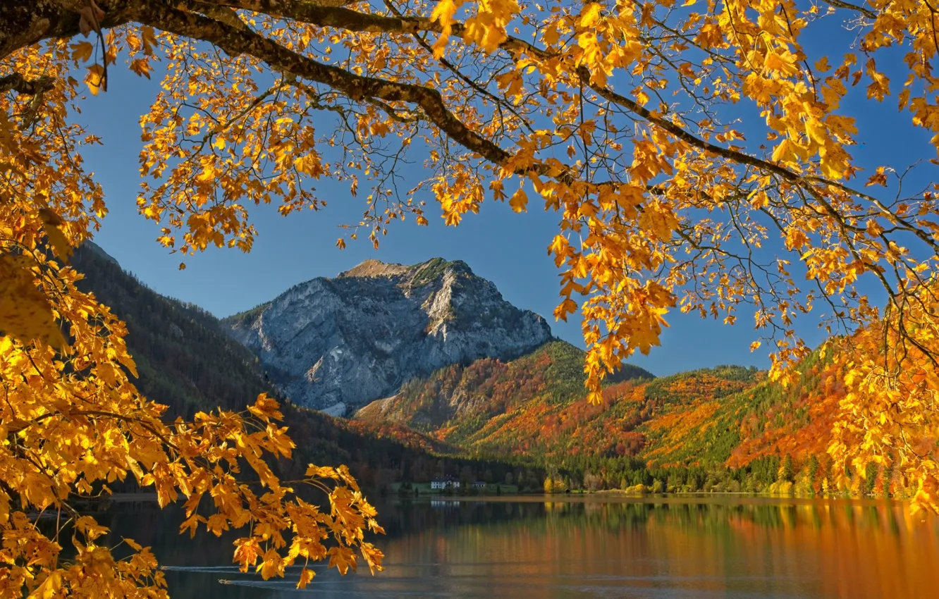 Photo wallpaper autumn, leaves, mountains, branches, lake, tree, Austria, Austria