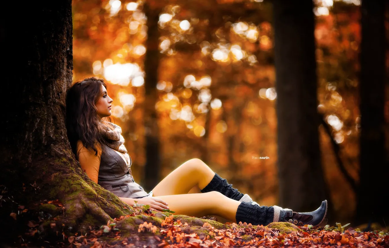 Photo wallpaper autumn, forest, leaves, trees, pose, model, portrait, makeup