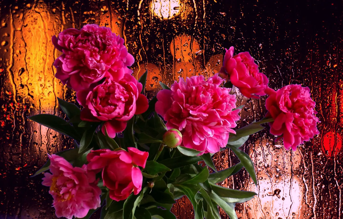 Photo wallpaper drops, flowers, rain, mood, bouquet, Peonies