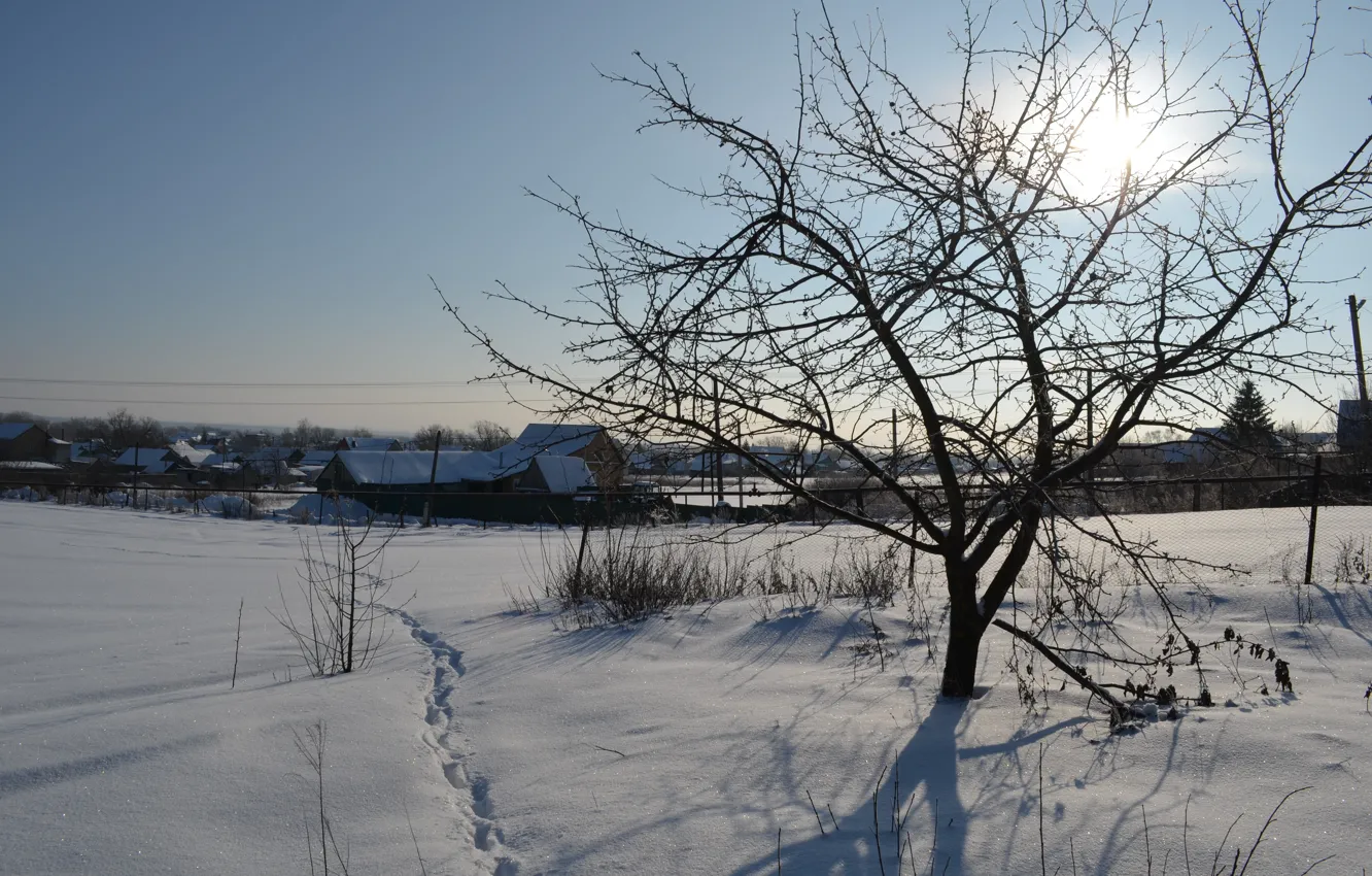 Photo wallpaper the sky, the sun, light, snow, trees, branches, traces, blue
