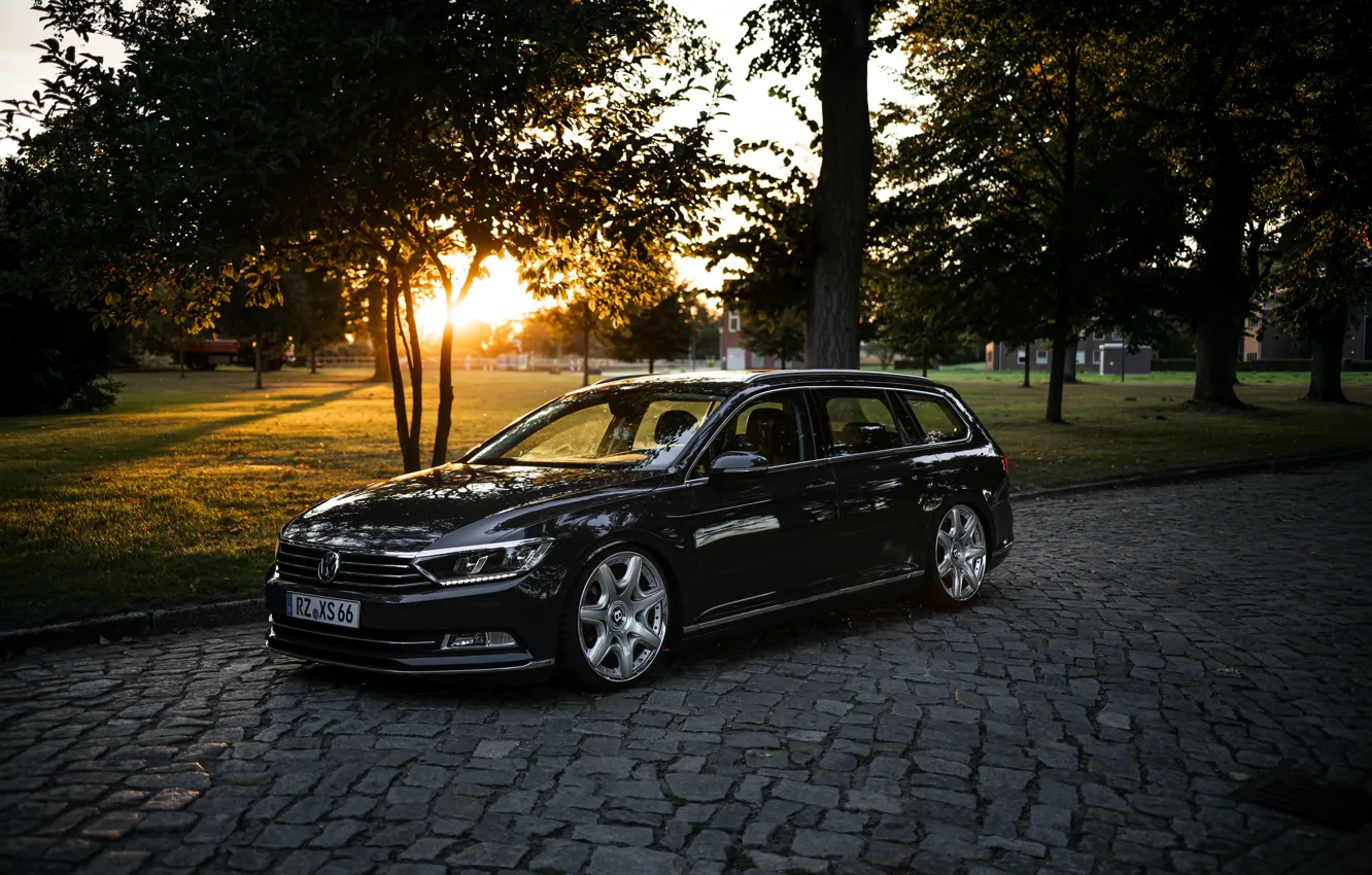 Photo wallpaper car, Volkswagen, trees, street, sunlight, Passat, Variant, Leon Skibitzki