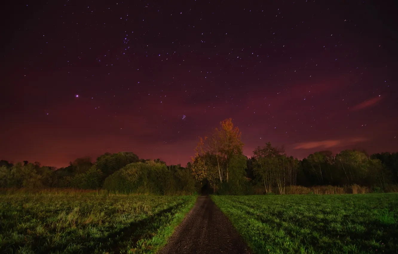 Photo wallpaper road, field, night