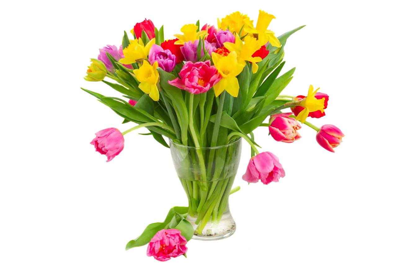 Photo wallpaper colorful, tulips, flowers, tulips, bouquet