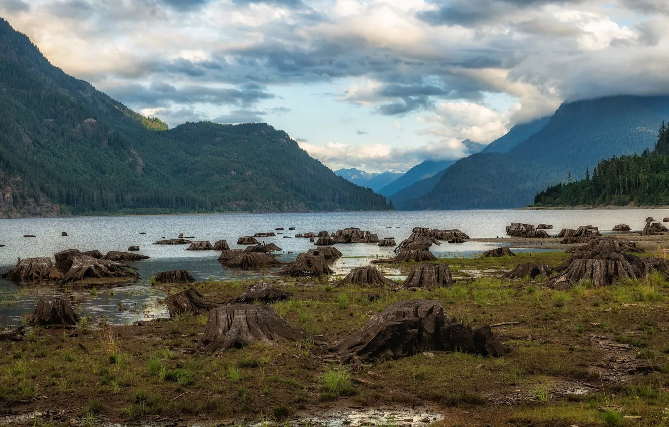 Photo wallpaper forest, the sky, grass, clouds, mountains, lake, overcast, hills
