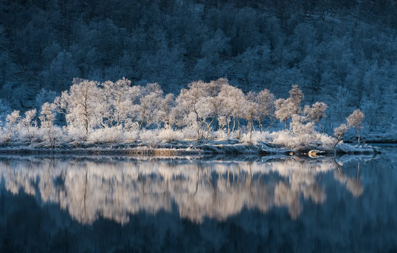 Photo wallpaper frost, water, trees, reflection, Norway, Norway, Troms, Troms