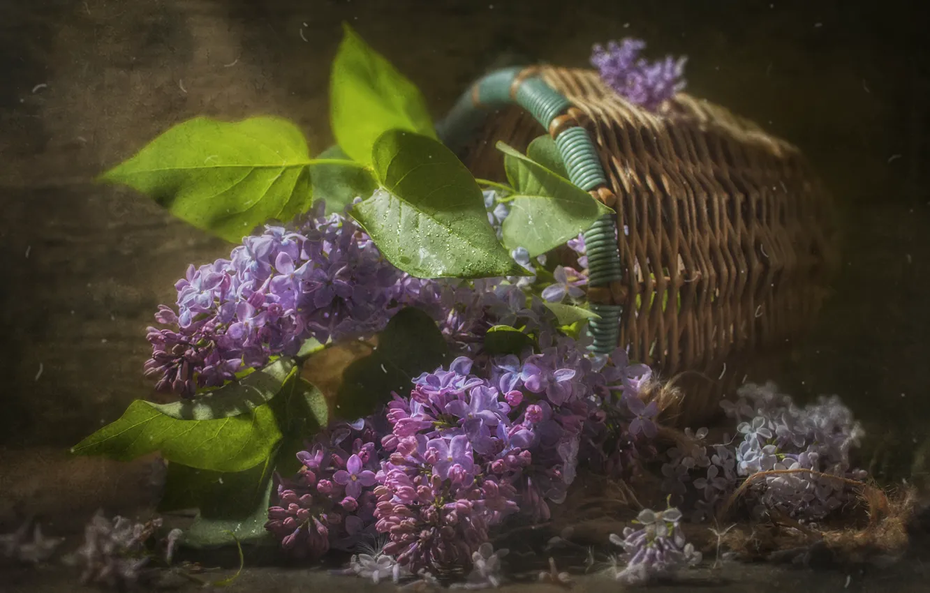 Photo wallpaper branches, basket, lilac, Vladimir Volodin