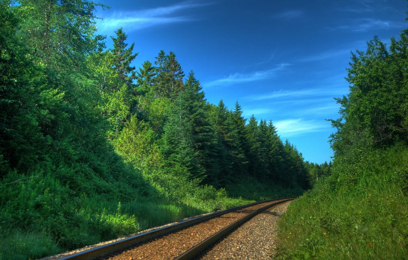 Photo wallpaper trees, nature, the way, photo, transport, rails, railroad, trains