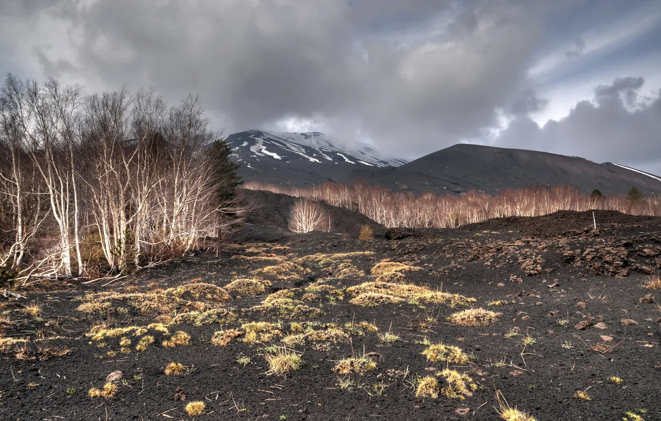 Photo wallpaper field, the sky, mountains