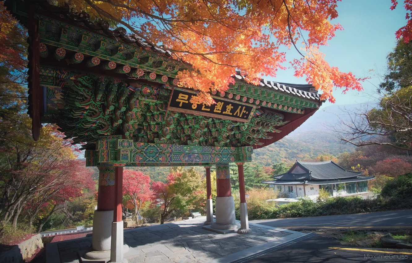 Photo wallpaper South Korea, autumn Park, sacred gate, Sout Korea