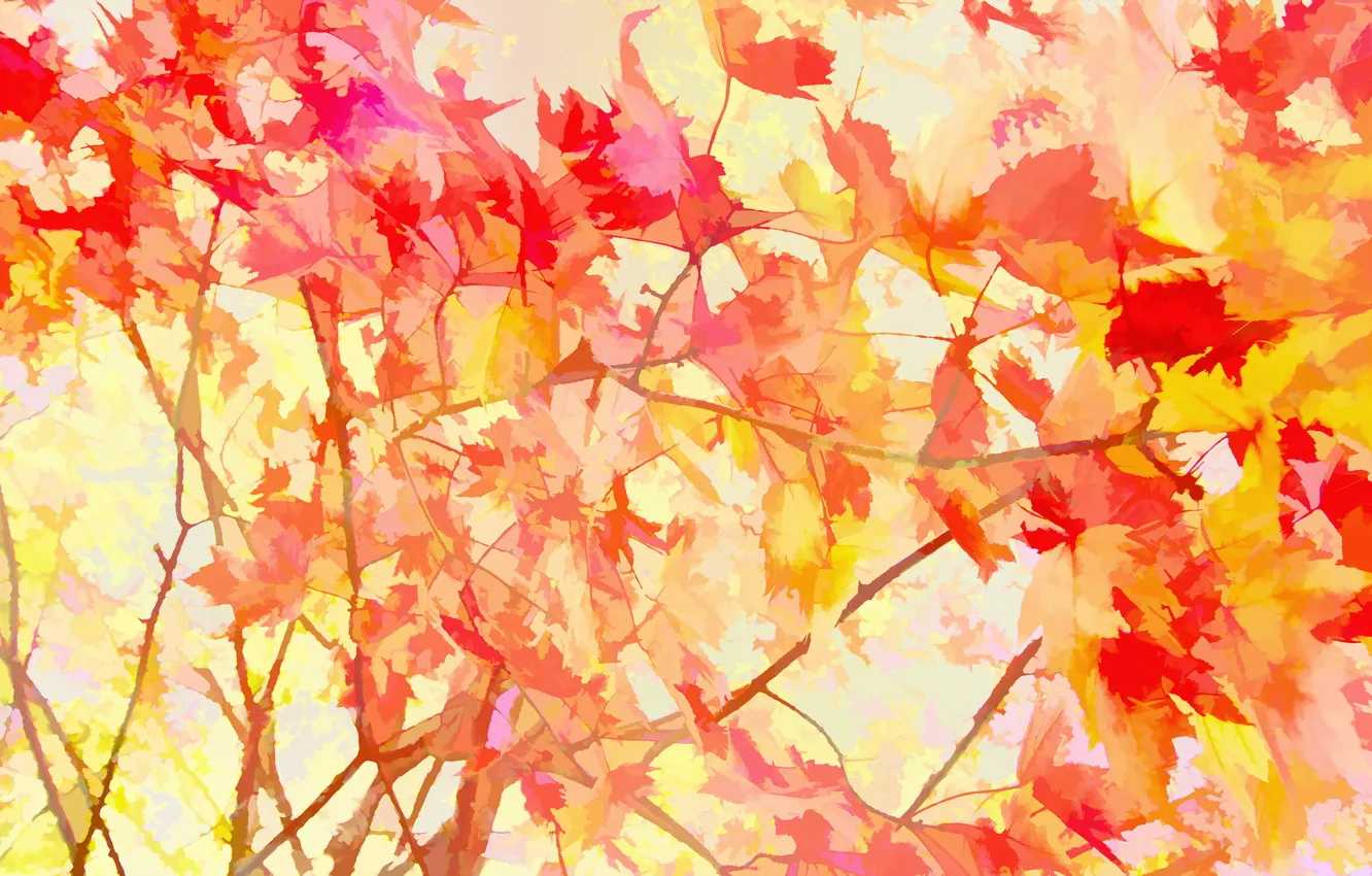Photo wallpaper leaves, background, texture