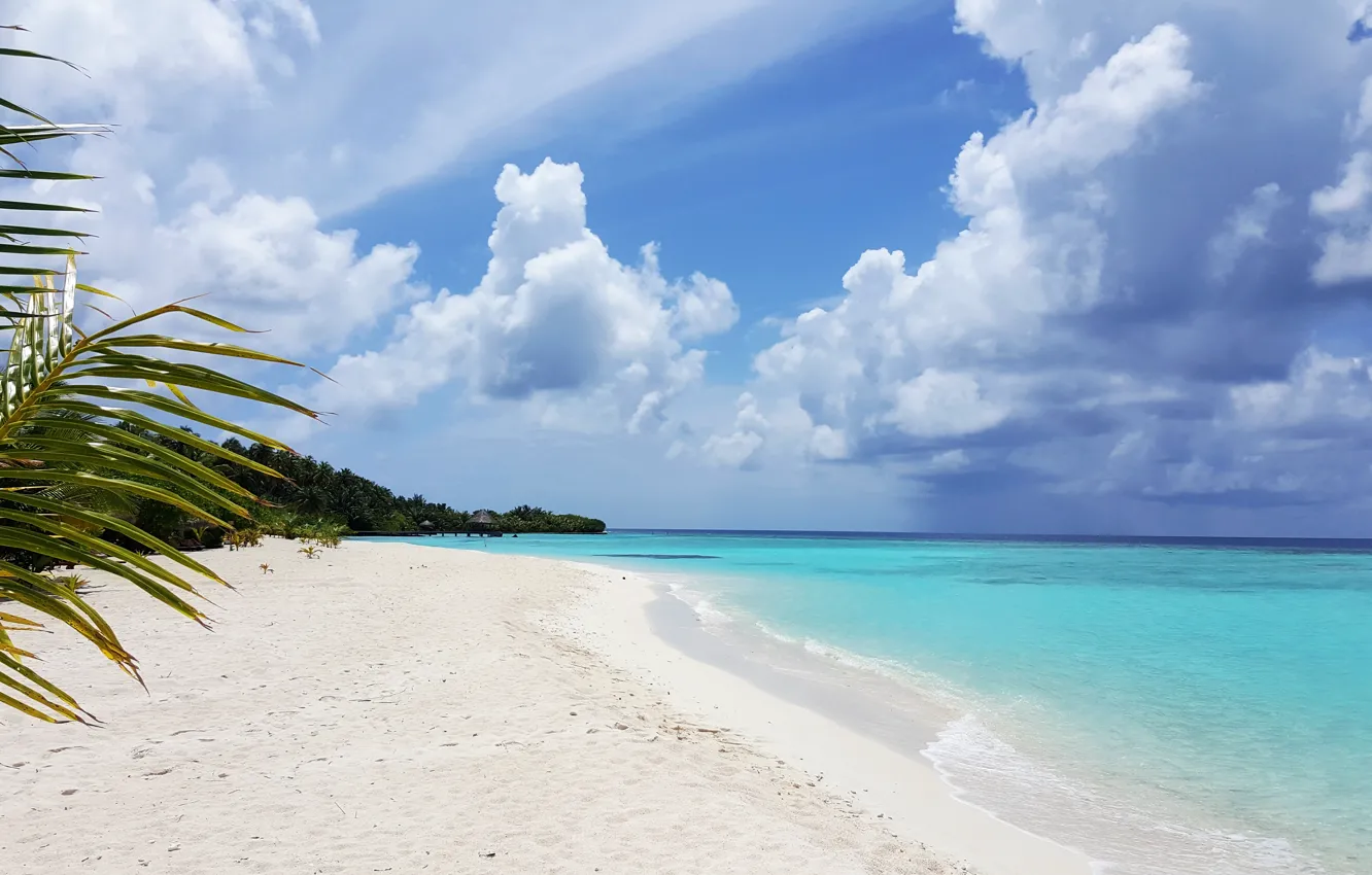 Photo wallpaper beach, tropics, palm trees, the ocean, exotic, white sand, Мaldives