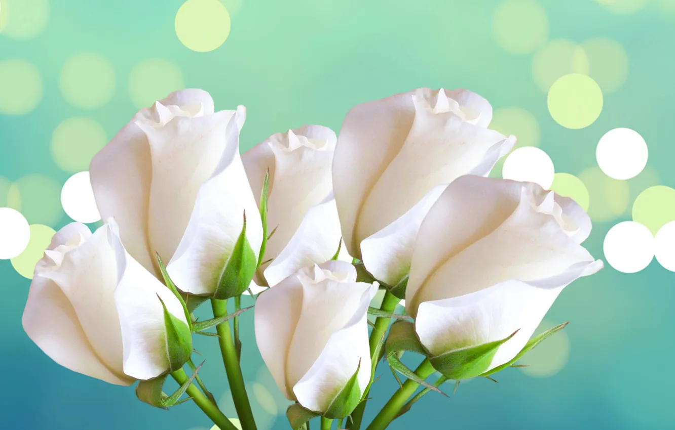 Photo wallpaper glare, roses, bouquet, petals