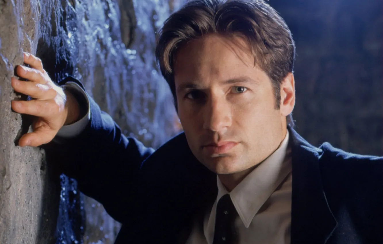Photo wallpaper the series, The X-Files, David Duchovny, Classified material, Fox Mulder