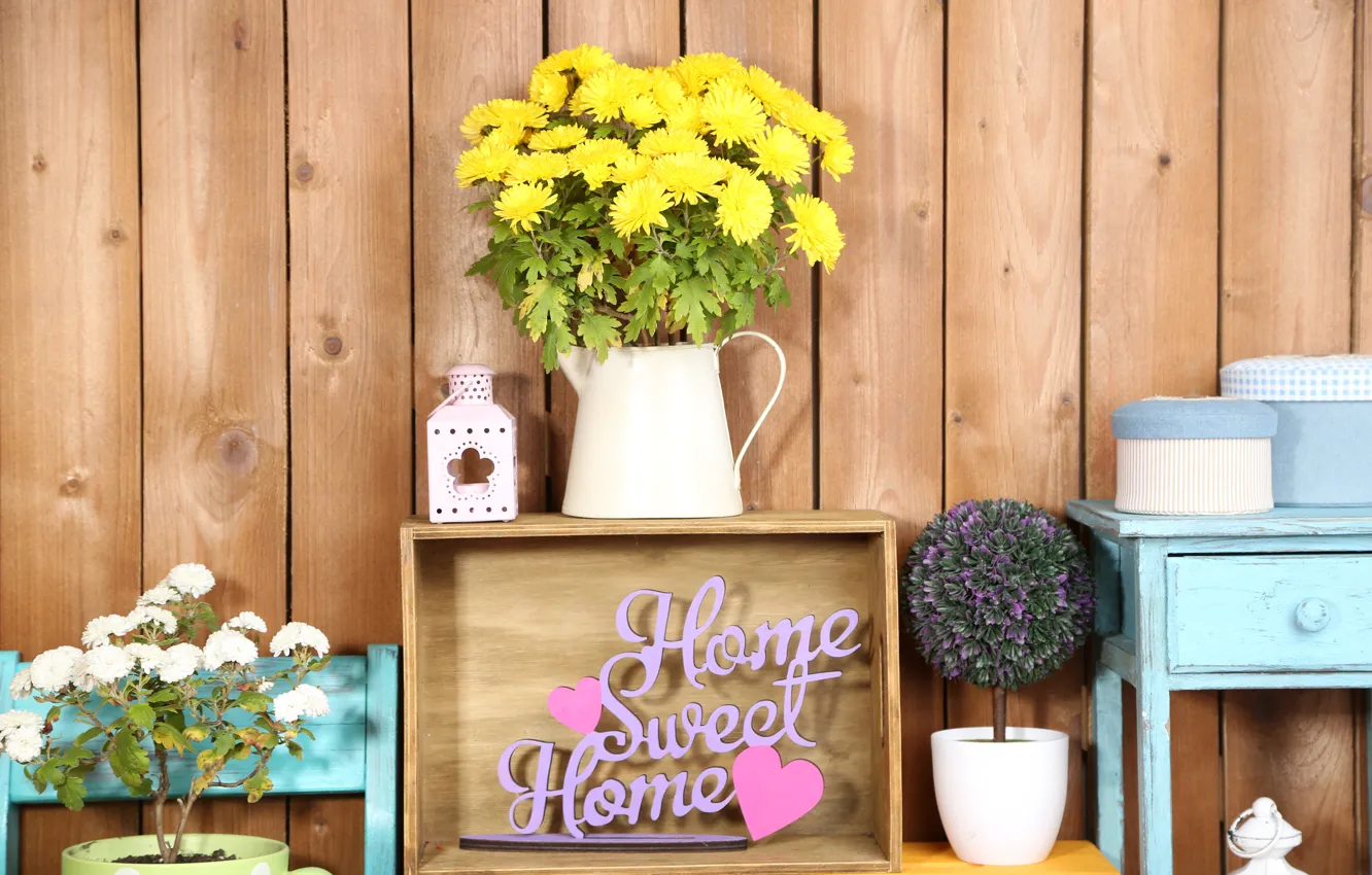 Photo wallpaper flowers, colors, colorful, box, vase, design, chrysanthemum, flowers