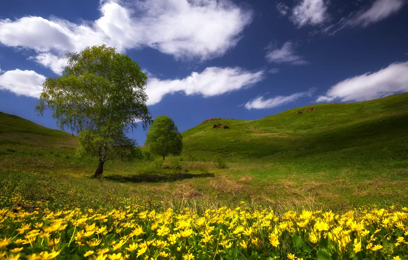 Photo wallpaper greens, grass, clouds, the steppe, heat, tree, hills, spring