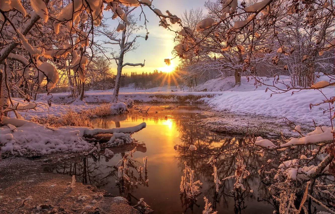 Photo wallpaper winter, forest, snow, nature, river, dawn