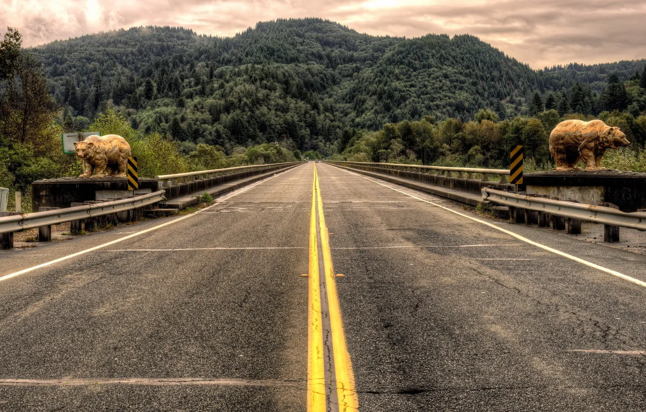 Photo wallpaper road, landscape, background