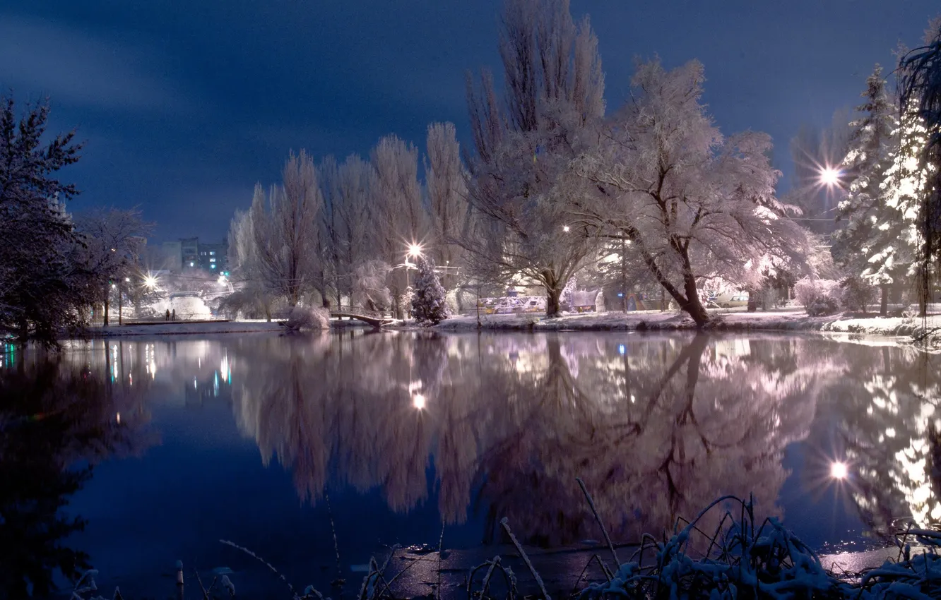 Photo wallpaper winter, the sky, snow, trees, pond, calm, photographer, Sergey Denisyuk