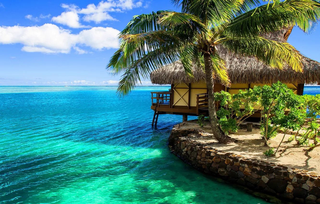 Photo wallpaper tropics, palm trees, the ocean, exotic, beach, Bungalow, bungalow resort