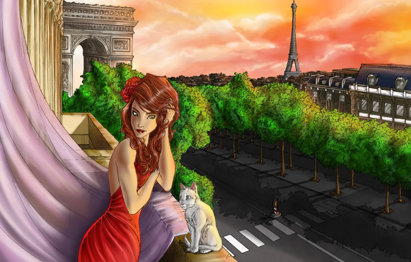 Photo wallpaper cat, girl, Paris