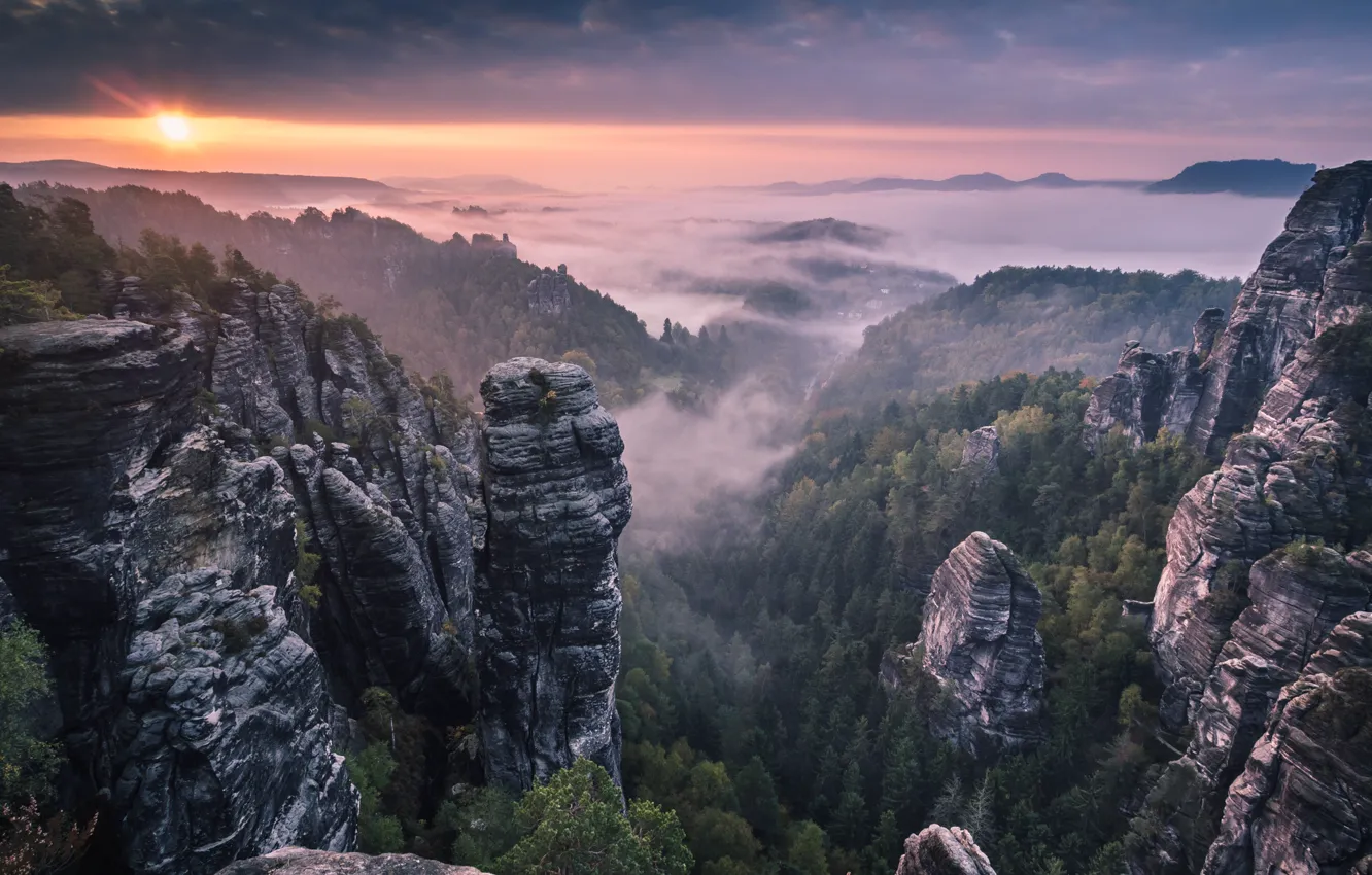 Photo wallpaper forest, mountains, fog, sunrise, rocks, morning