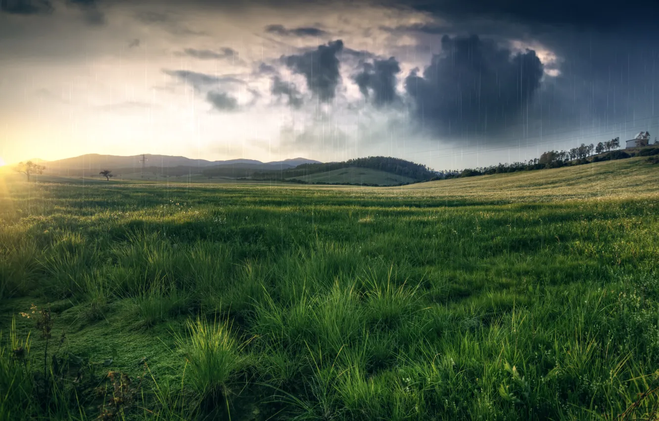 Photo wallpaper field, grass, clouds, nature, rain, hills, meadow