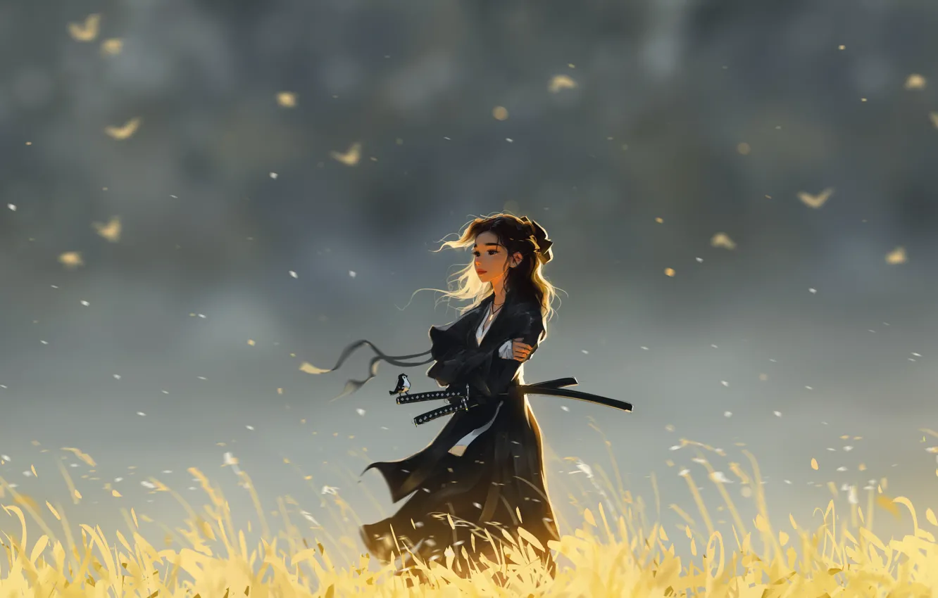 Photo wallpaper Sam Yang, samurai, field, women with swords