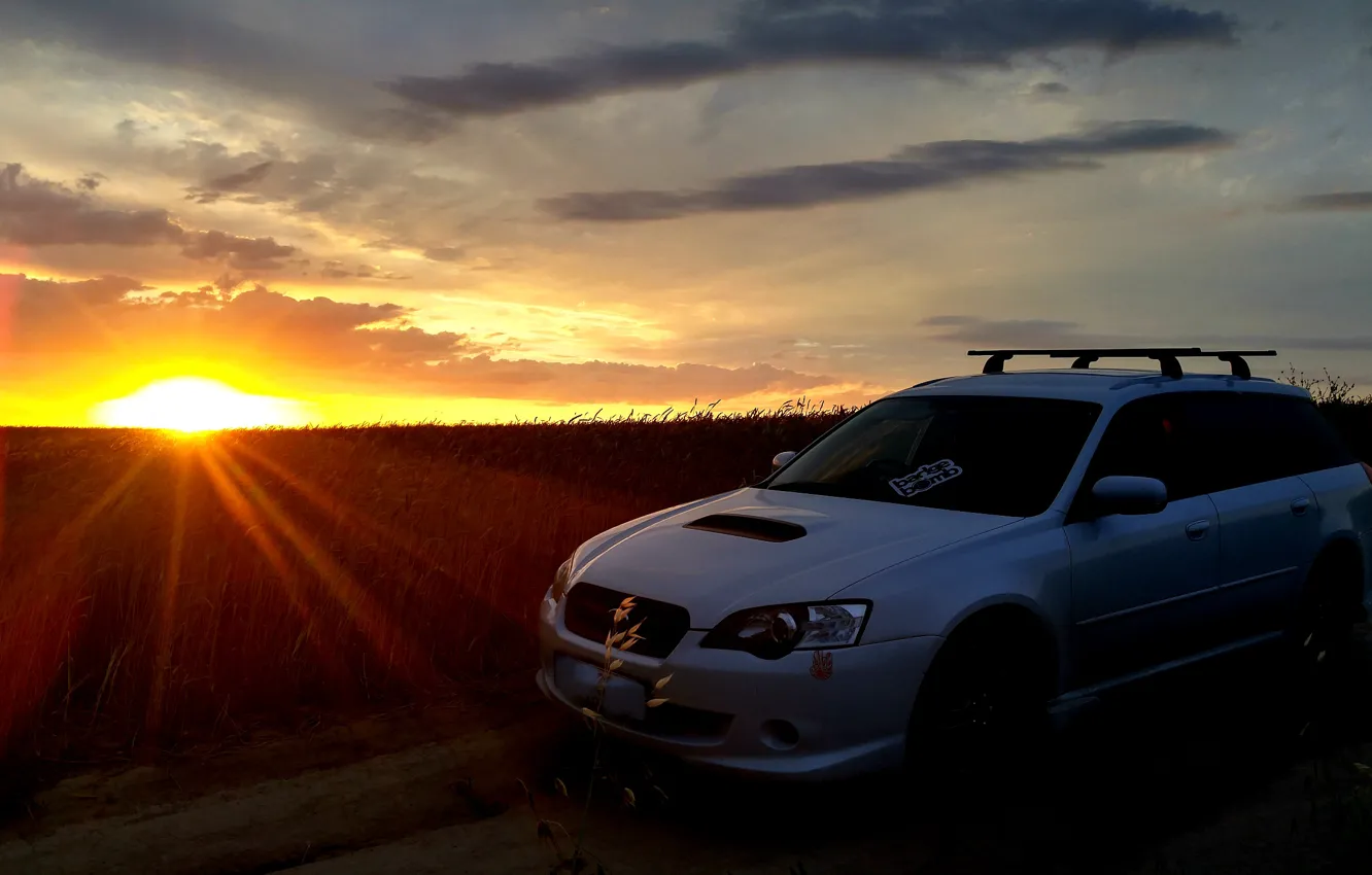Photo wallpaper wheat, sunset, Subaru, wheat field, Subaru turbo