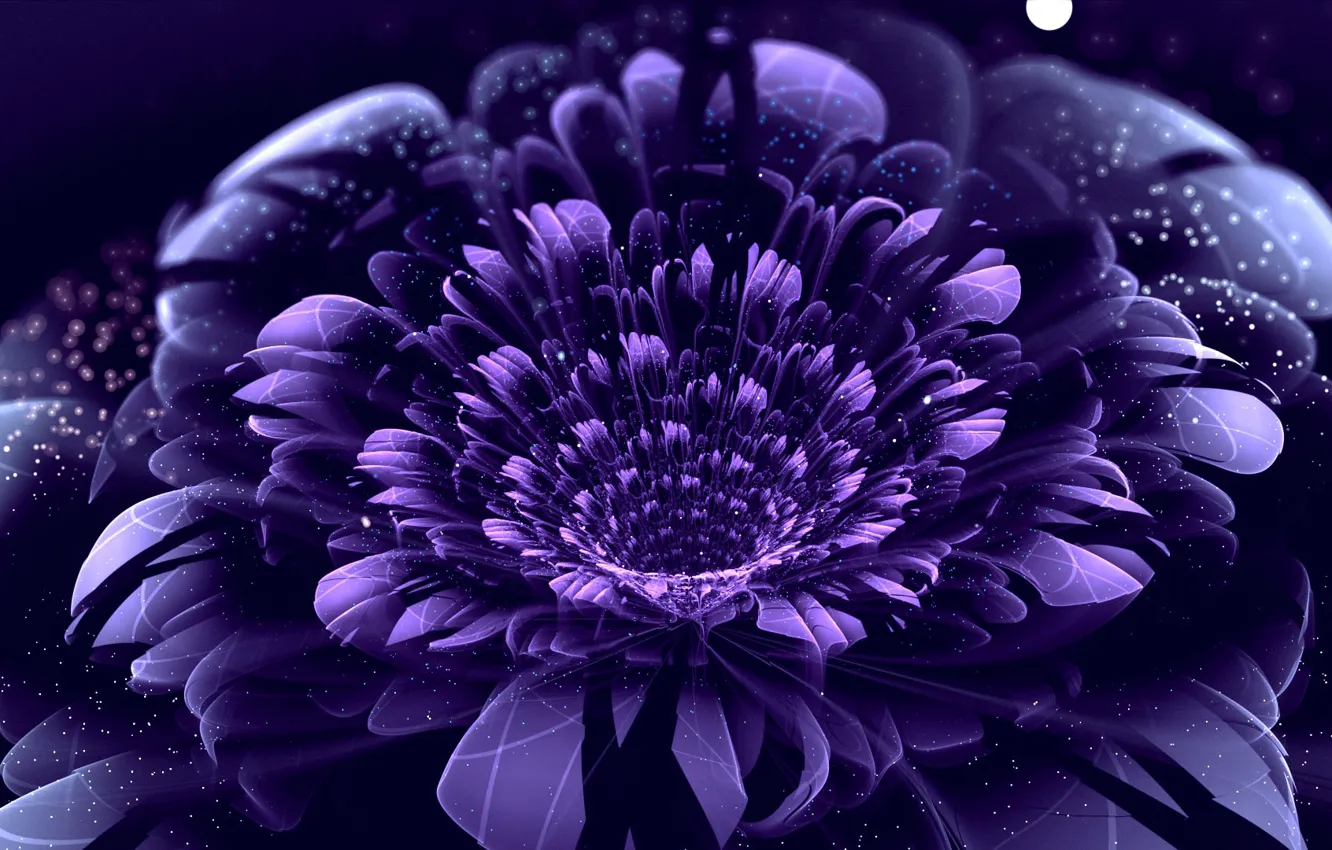 Photo wallpaper flower, purple, circles, point, petals
