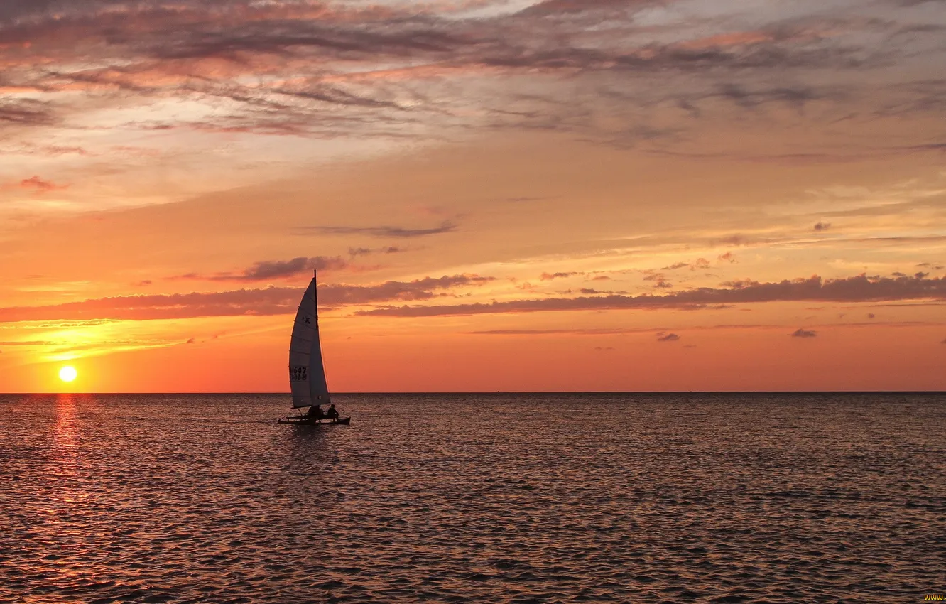 Photo wallpaper sea, the sun, sunset, the evening, sail, sailing, training, racing boat
