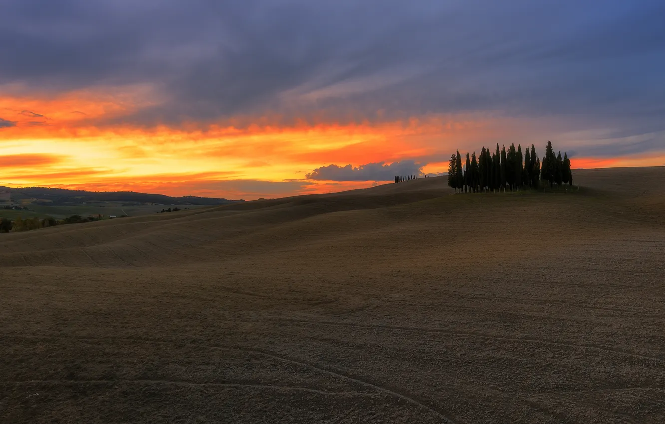 Photo wallpaper field, the sky, clouds, trees, sunset, hills, dal, space