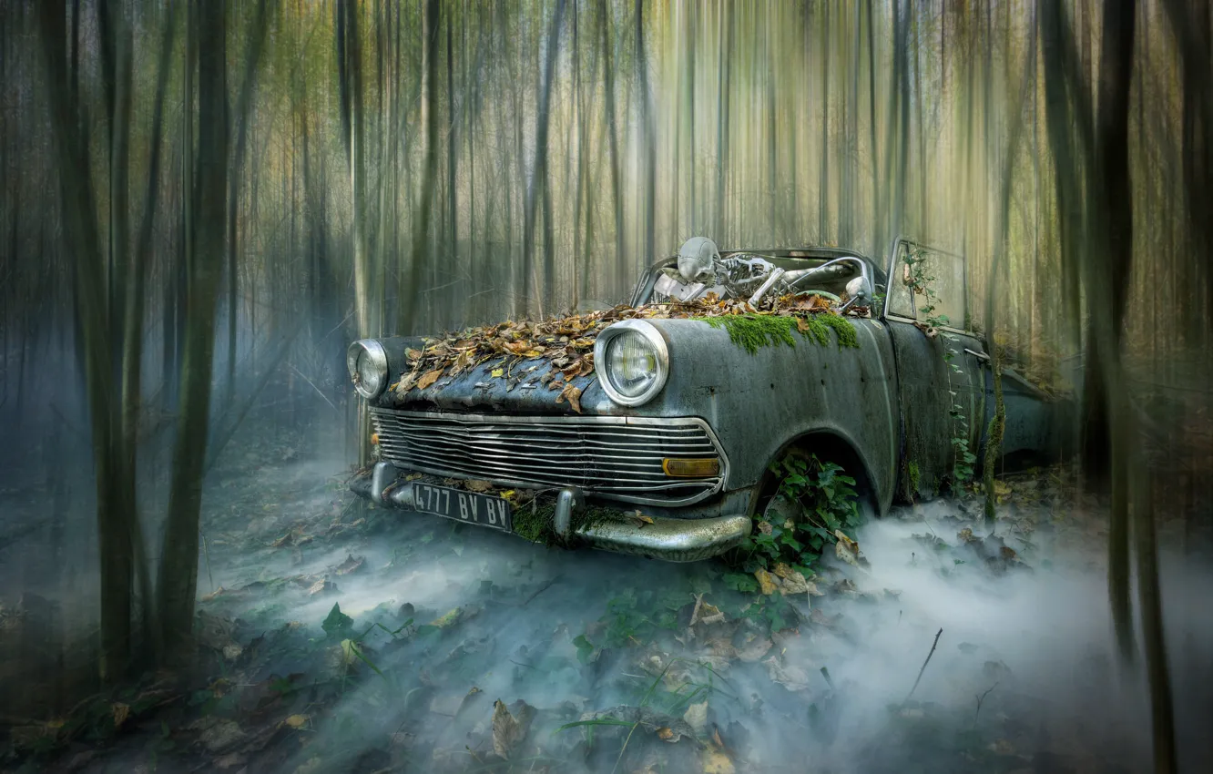 Photo wallpaper forest, skeleton, machne