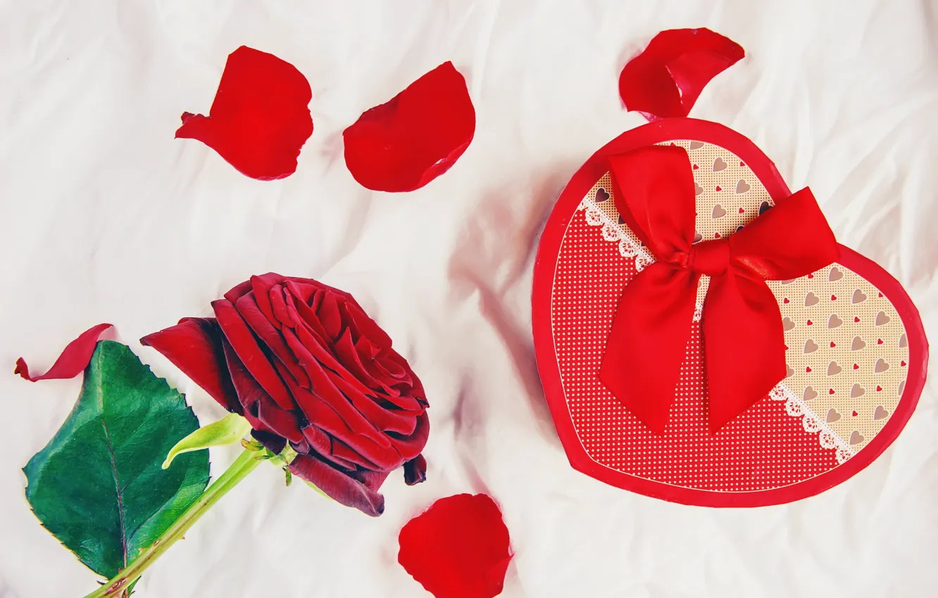 Photo wallpaper holiday, gift, roses, hearts, Valentine's day