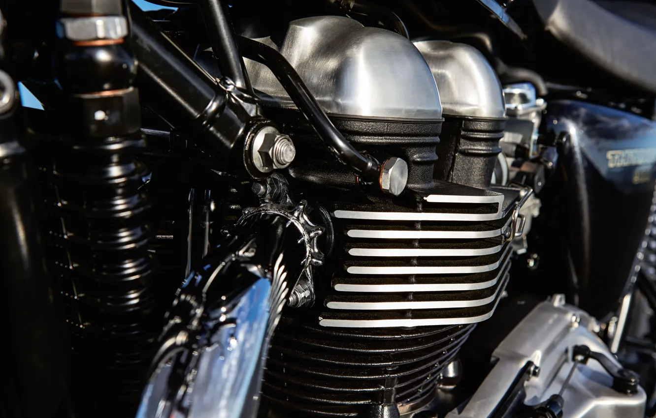 Photo wallpaper engine, motorcycle, chrome, glands, Triumph Thruxton, pipes