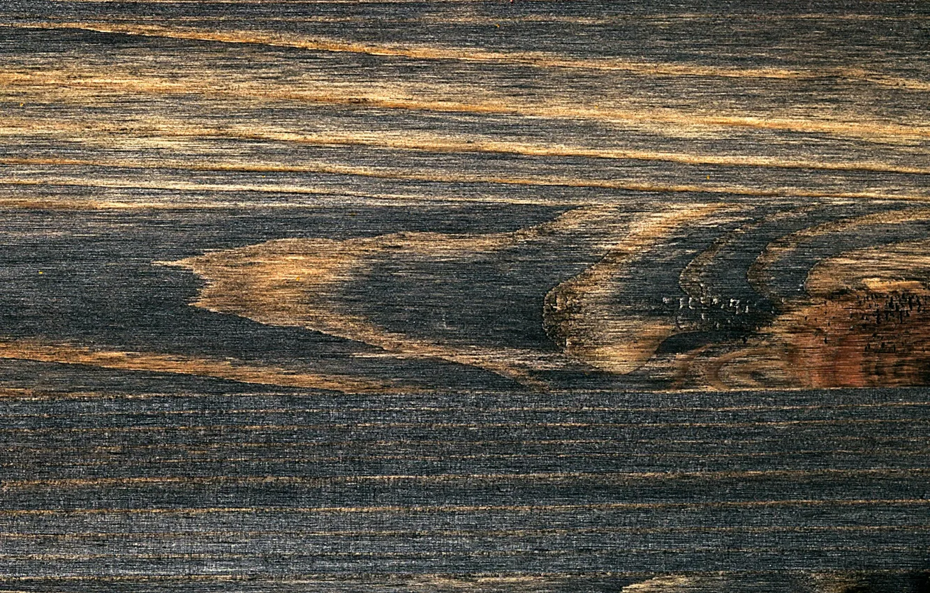 Photo wallpaper color, wood, texture