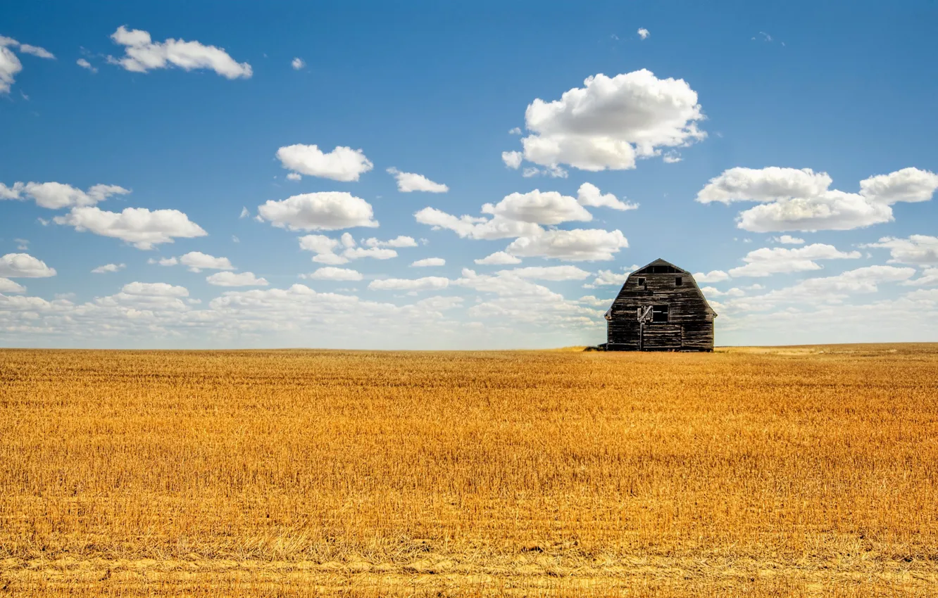 Photo wallpaper field, summer, clouds, the barn, 152