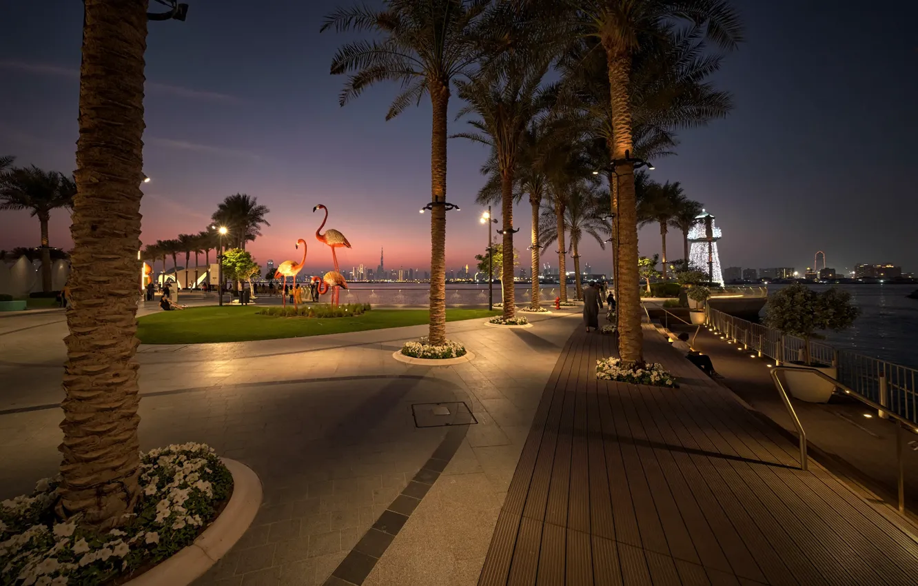 Photo wallpaper the city, palm trees, the evening, lighting, Dubai, promenade, harbour, UAE