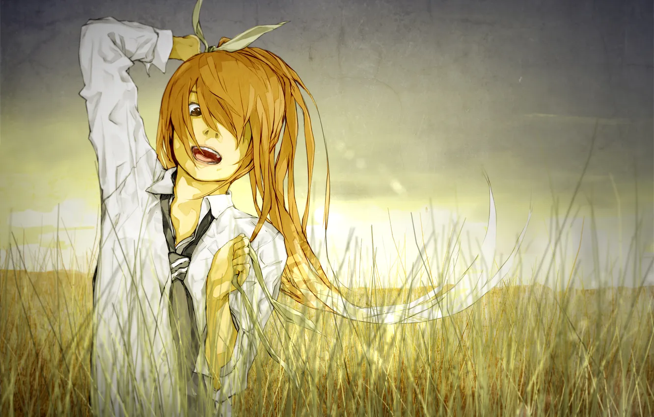 Photo wallpaper field, grass, sunset, emotions, hair, art, tie, tape