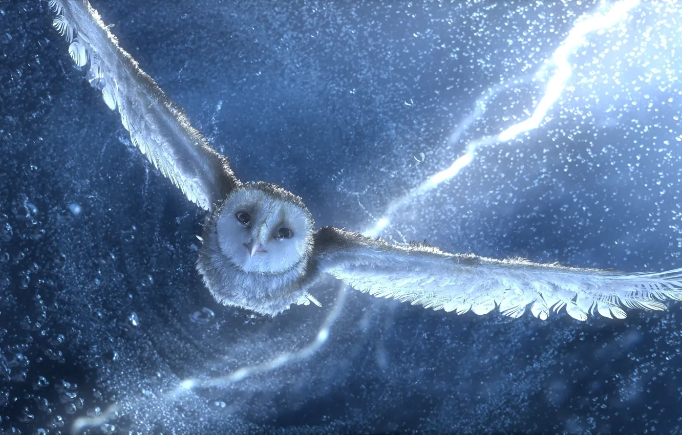 Photo wallpaper the storm, flight, Legend of the guardians, Owl