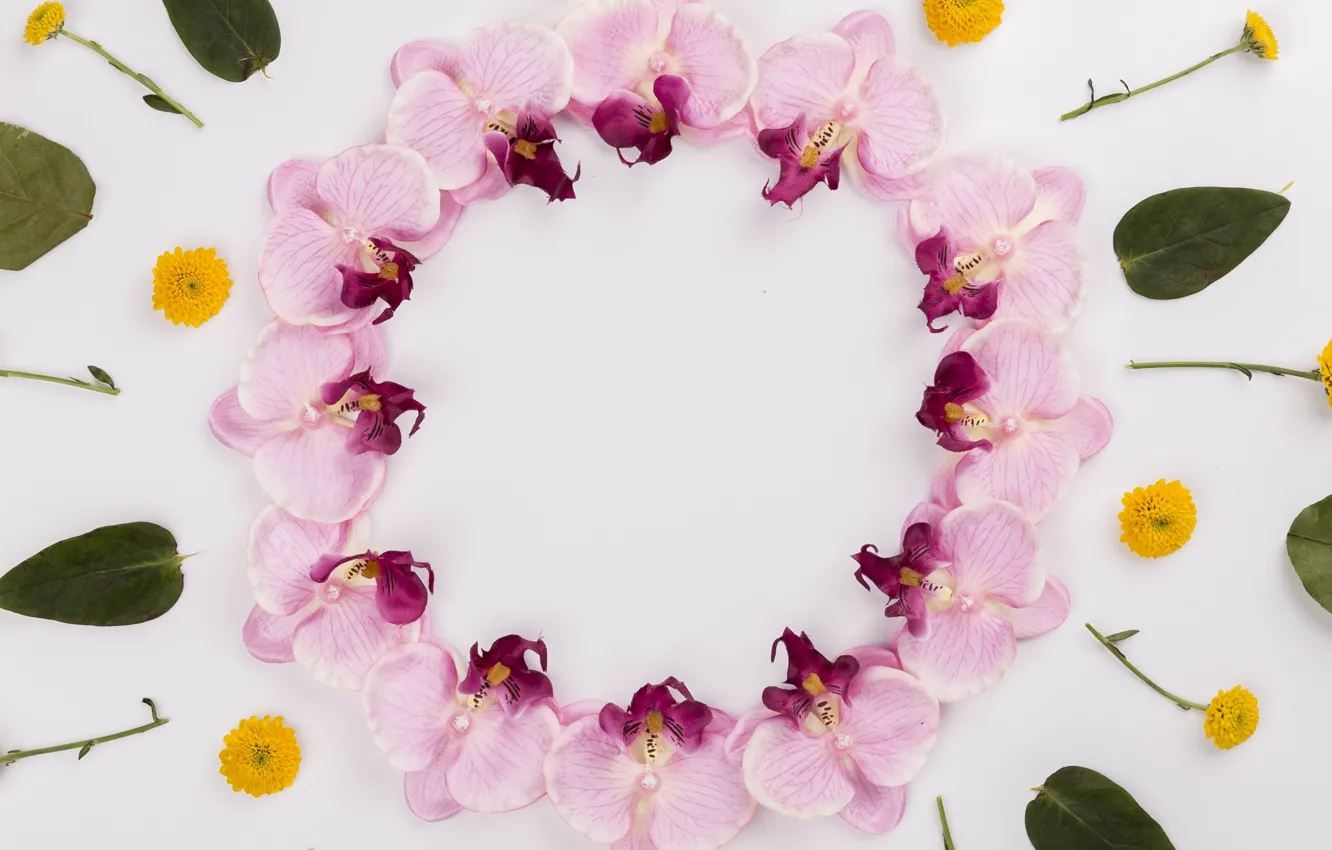 Photo wallpaper flowers, round, orchids