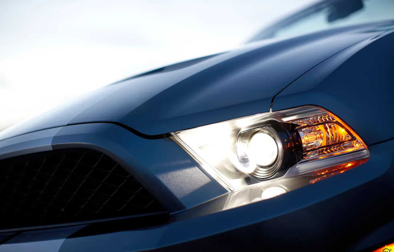 Photo wallpaper headlight, mustang, shelby, gt500