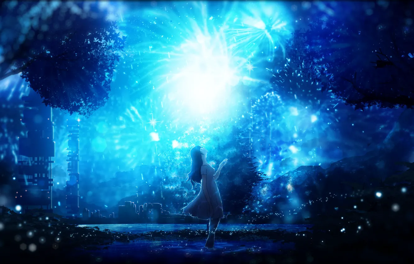 Photo wallpaper night, salute, girl