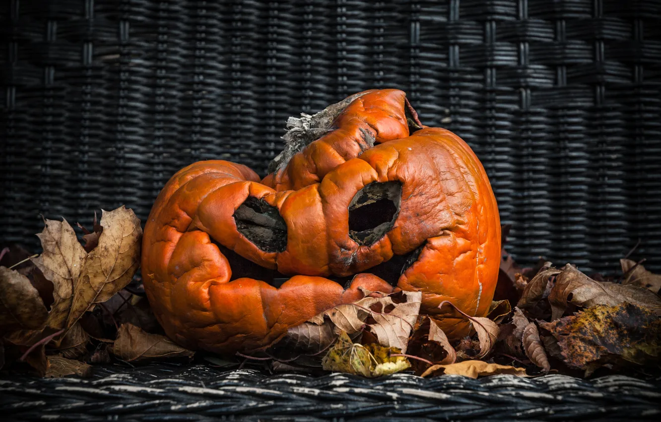 Photo wallpaper autumn, holiday, basket, pumpkin, Halloween, Halloween, faces, autumn leaves