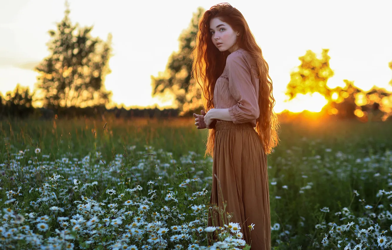 Photo wallpaper look, girl, flowers, chamomile, Albina Khusainova