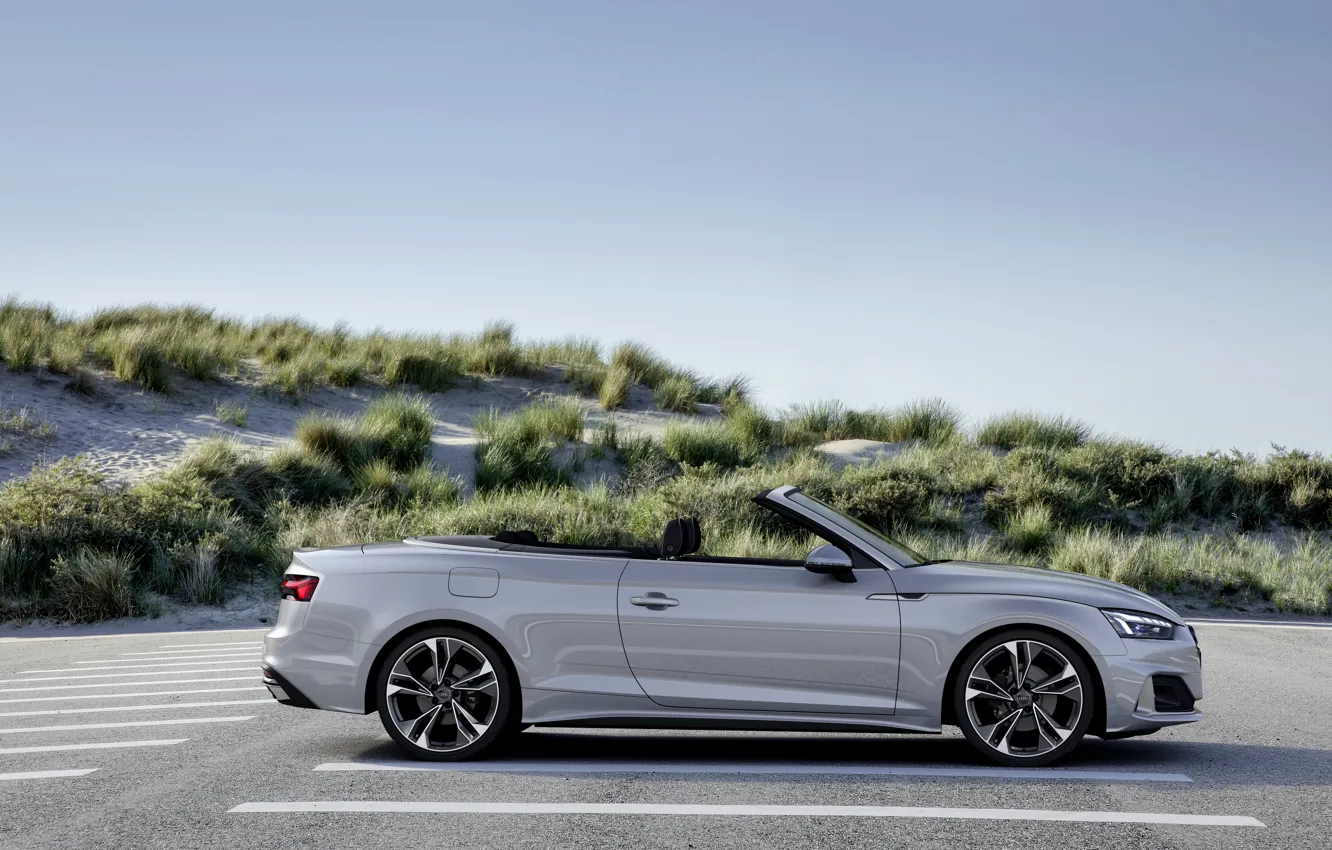 Photo wallpaper grey, Audi, vegetation, convertible, Audi A5, side, A5, 2019
