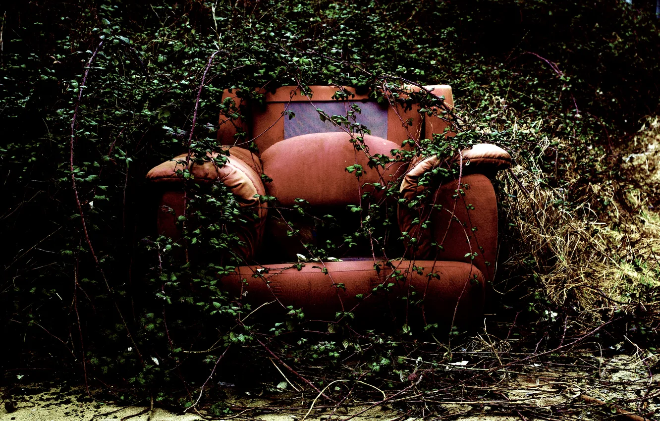Photo wallpaper greens, plant, chair, abandoned