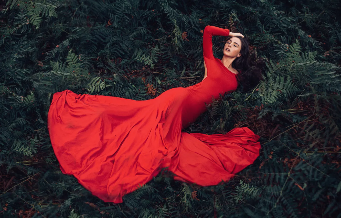 Photo wallpaper leaves, girl, nature, pose, thickets, glade, hands, brunette