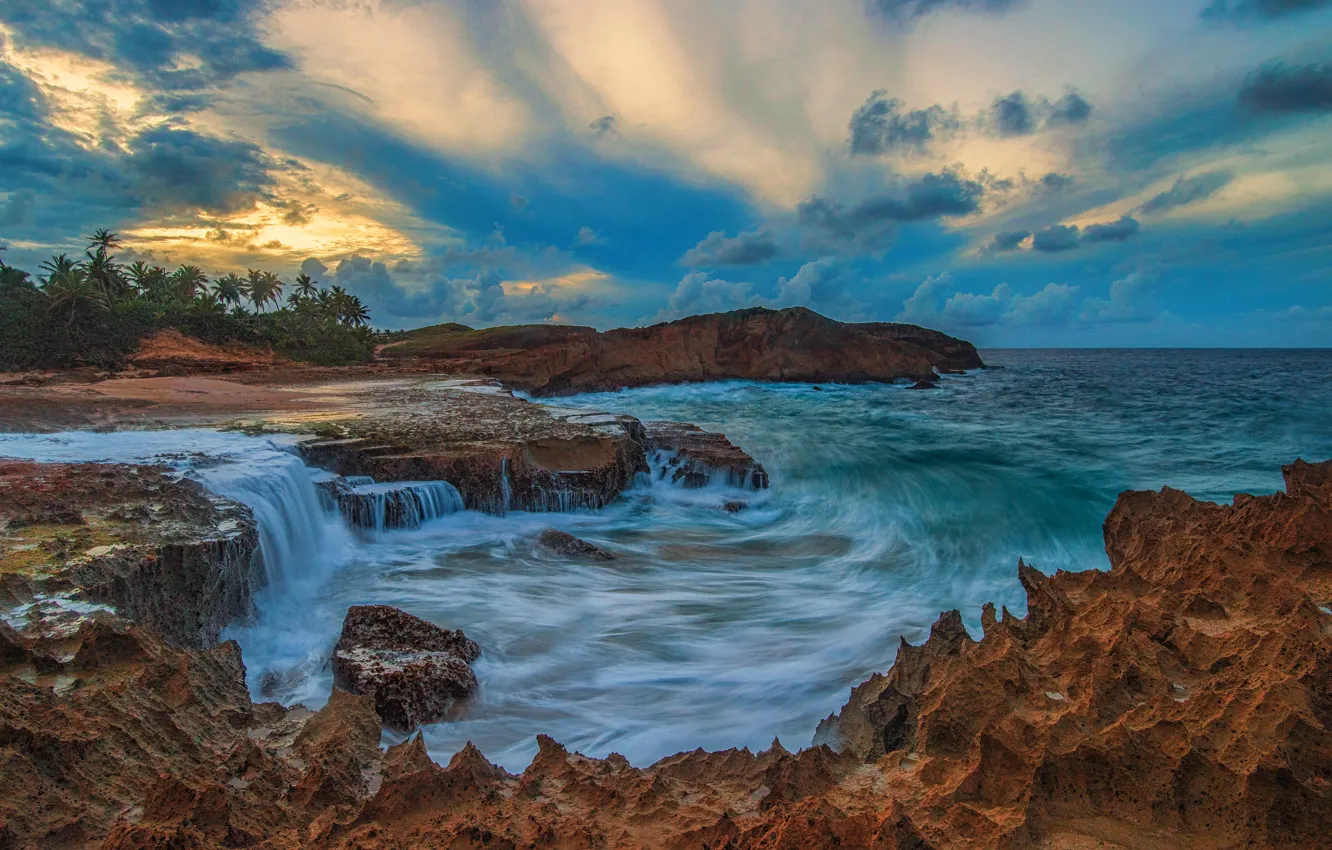 Photo wallpaper sea, the sky, clouds, blue, stones, palm trees, rocks, shore